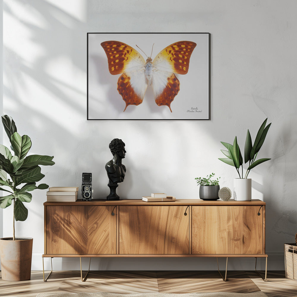 Butterfly - 4 | Poster