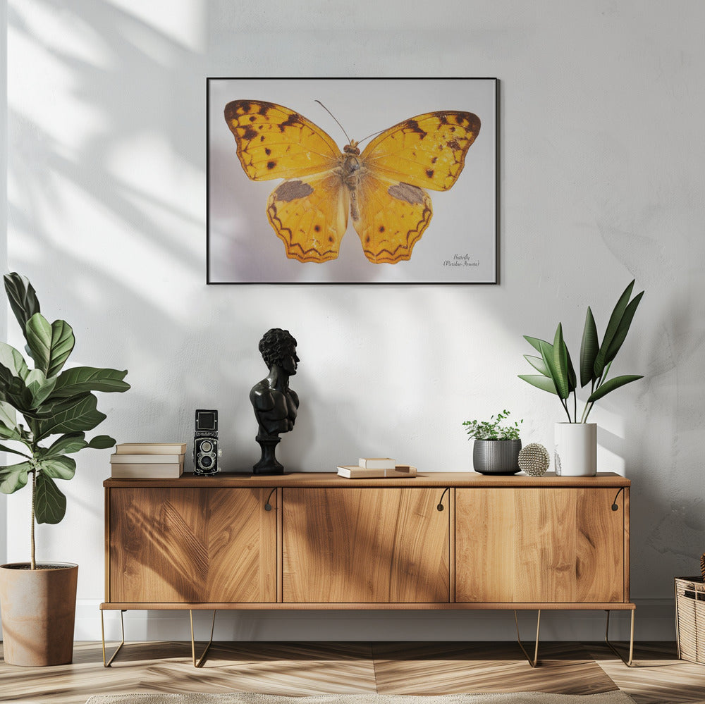 Butterfly - 10 | Poster