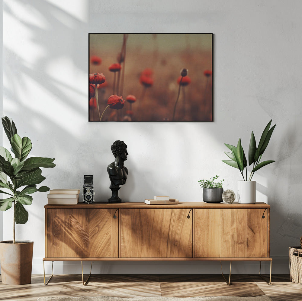 Poppy Dreams | Poster