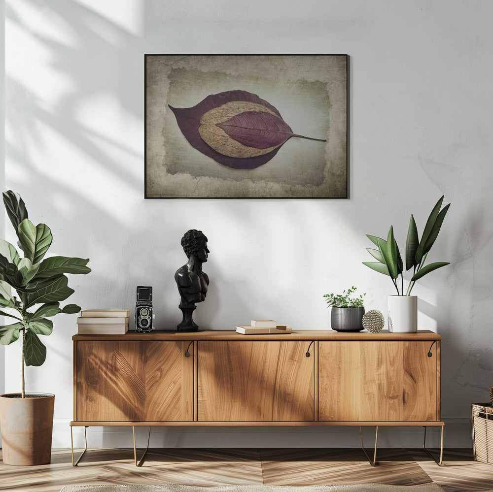 The Story of Nature | Poster