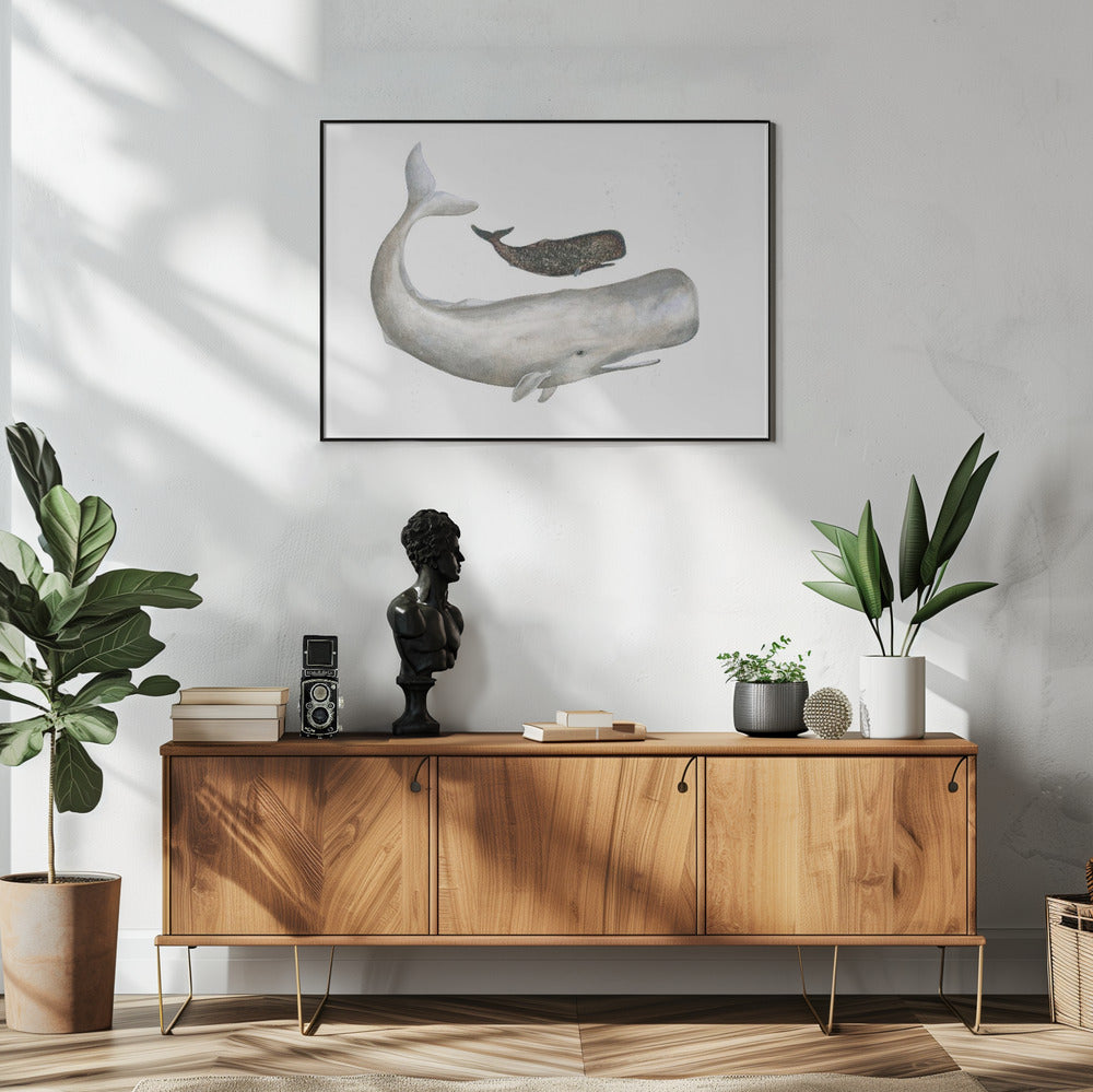 Zachte oceaanreuzen | Poster