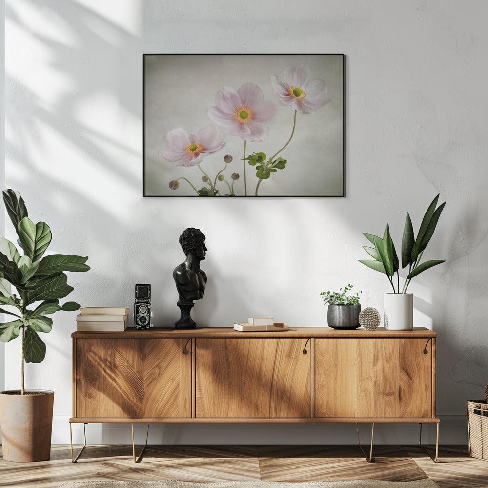 Anemonen | Poster