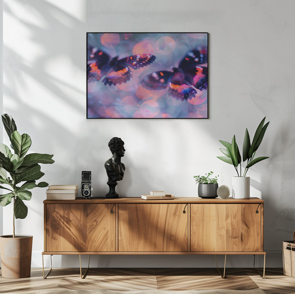 Vlinderdromen | Poster