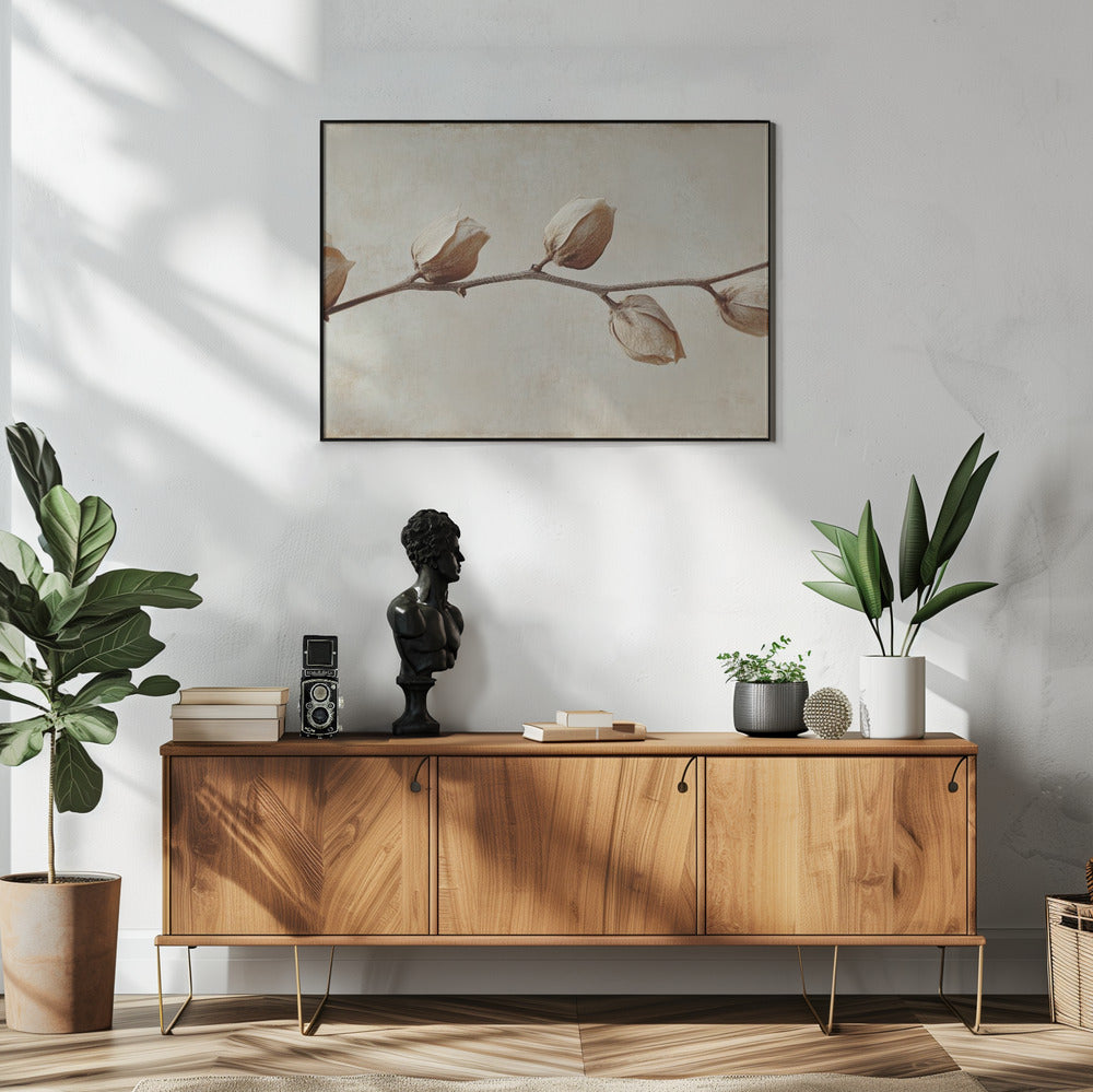 Vervaagde elegantie | Poster