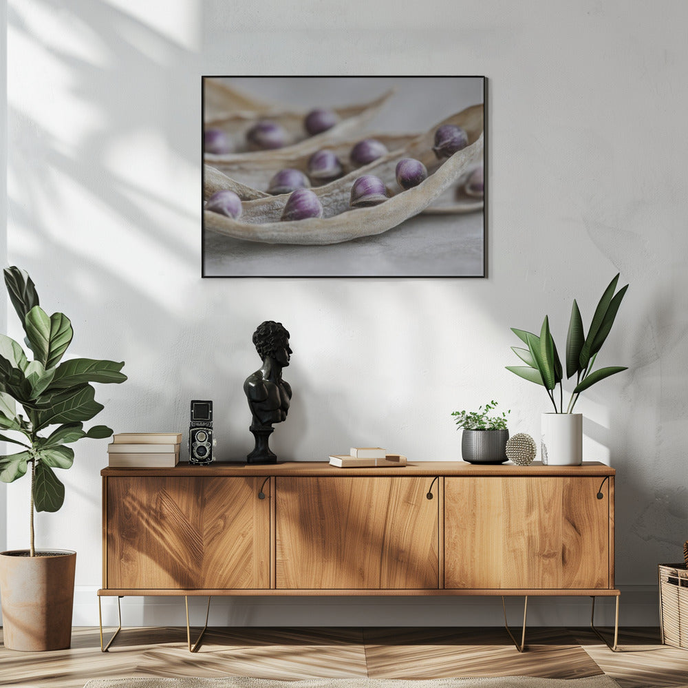 Paarse Zaad Symfonie | Poster