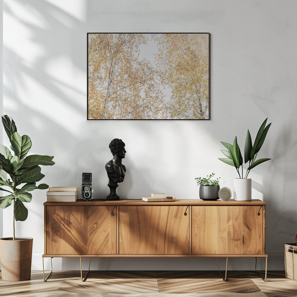 Birch Trees | Poster