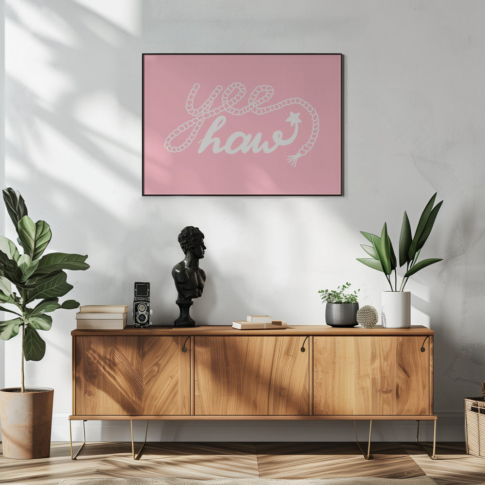 Touw Lasso Delight | Poster