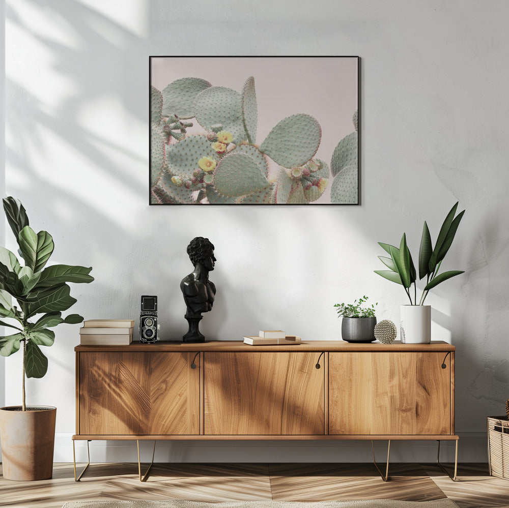 Bloeiende Cactus | Poster