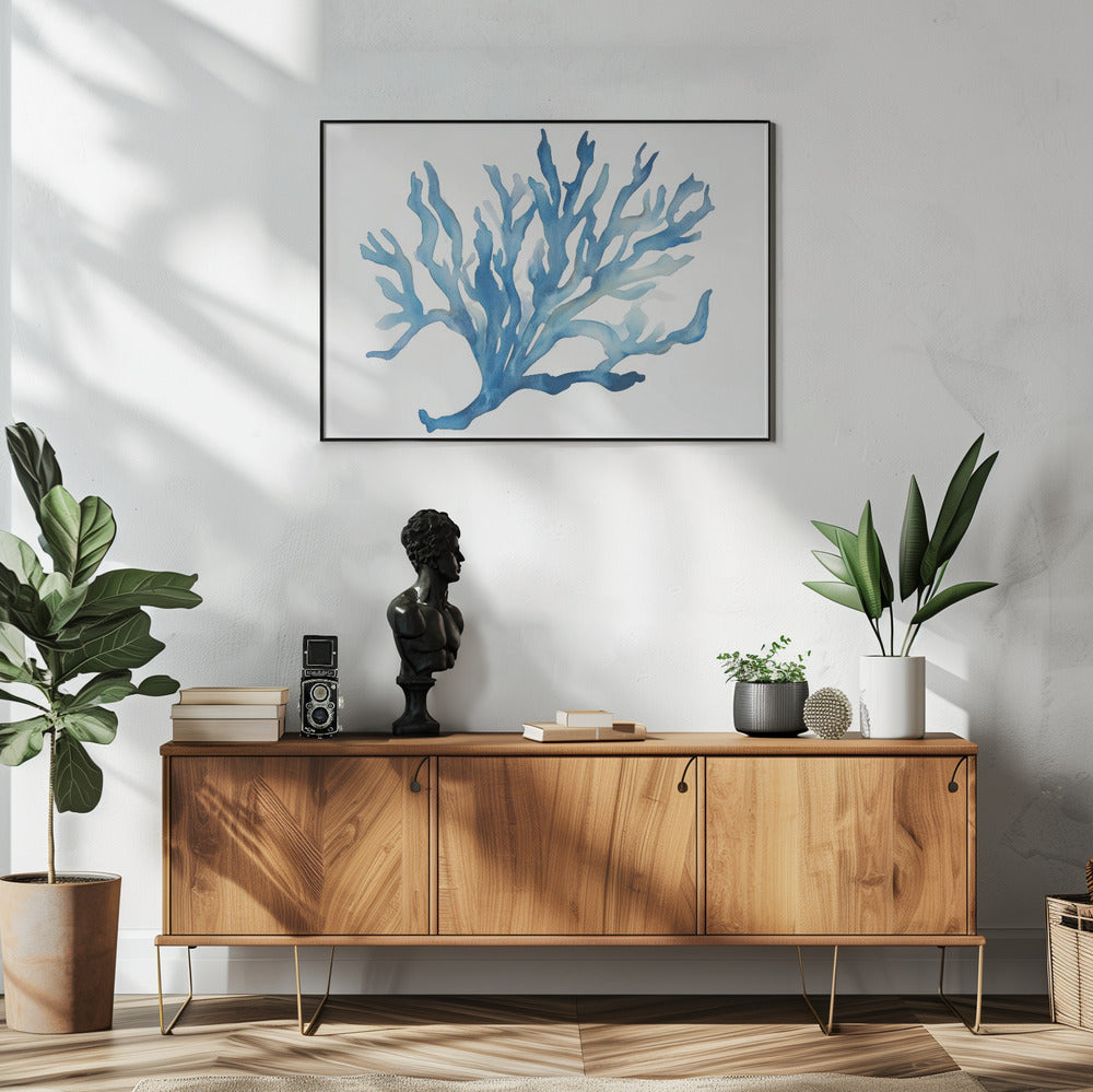 Blauw Koraal | Poster