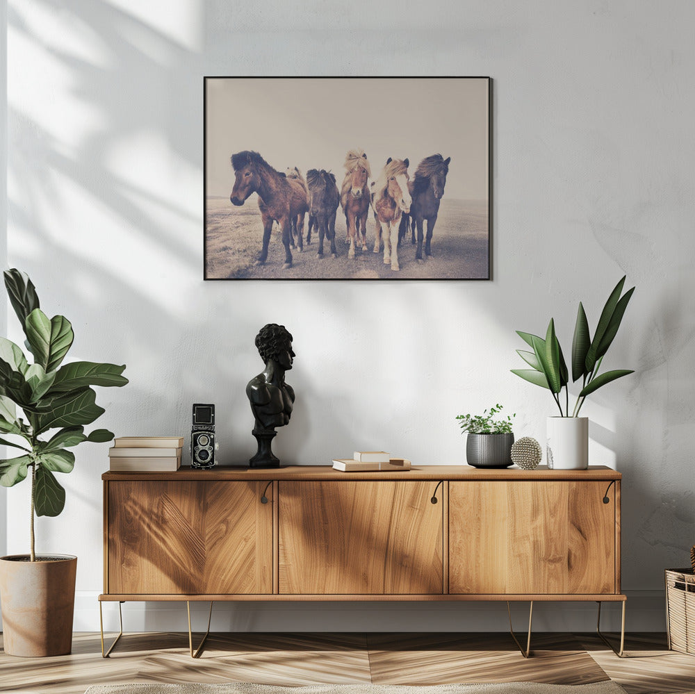 Paarden | Poster