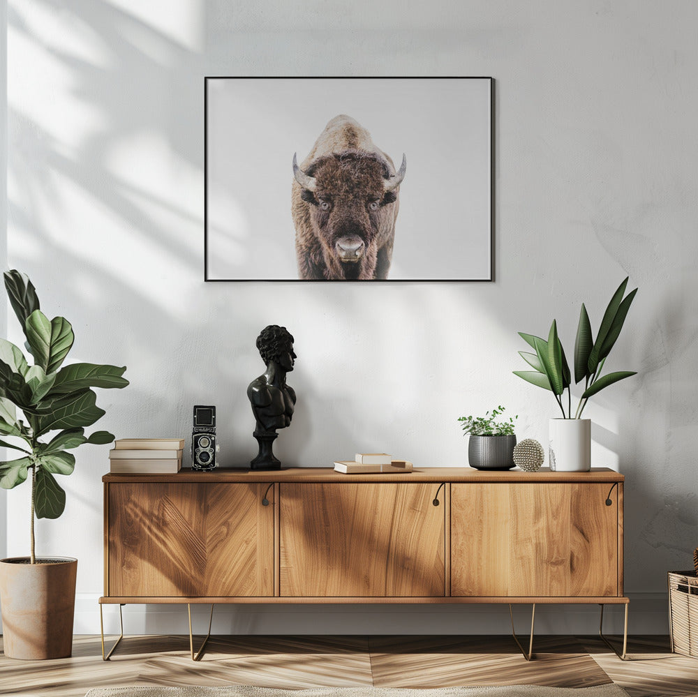 Bizon | Poster