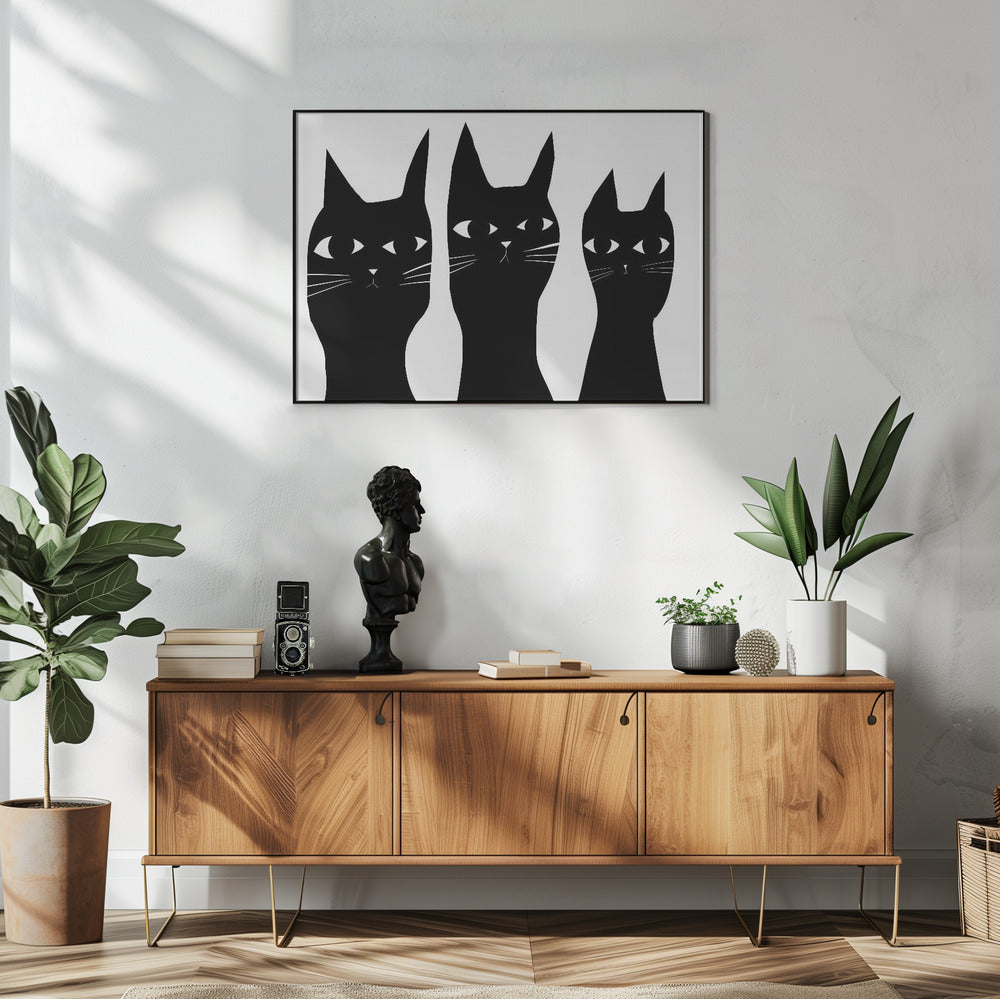 Drie zwarte katten kijken naar de kat | Poster
