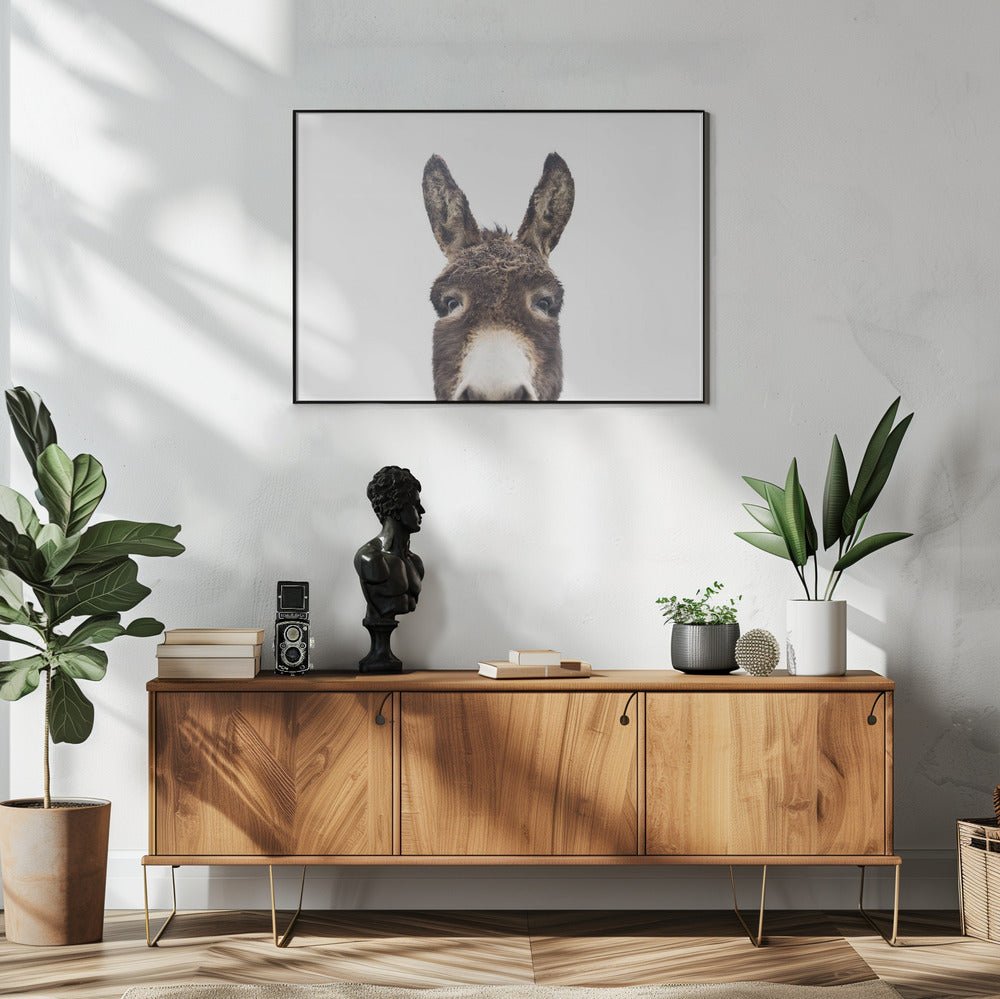 Glurende ezel | Poster