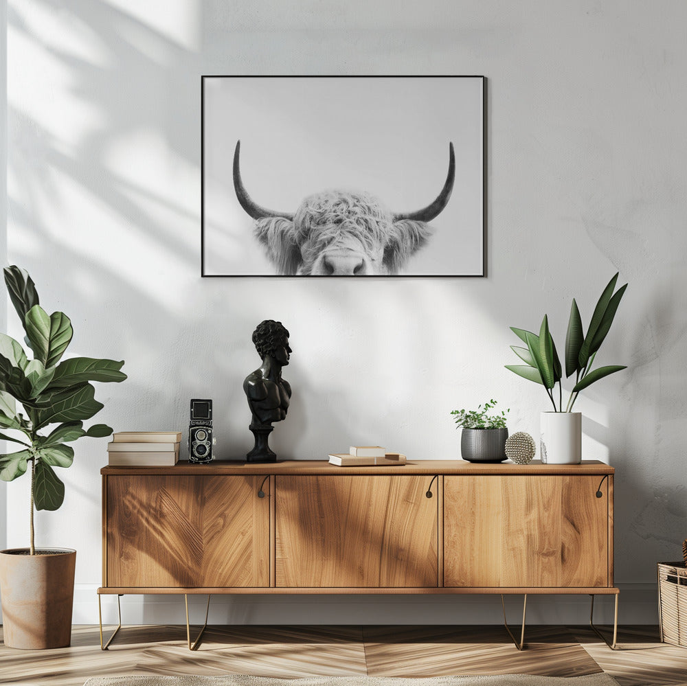 Glurende koe zwart-wit | Poster