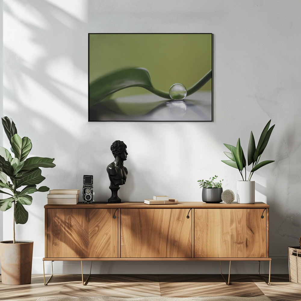 Groene harmonie | Poster