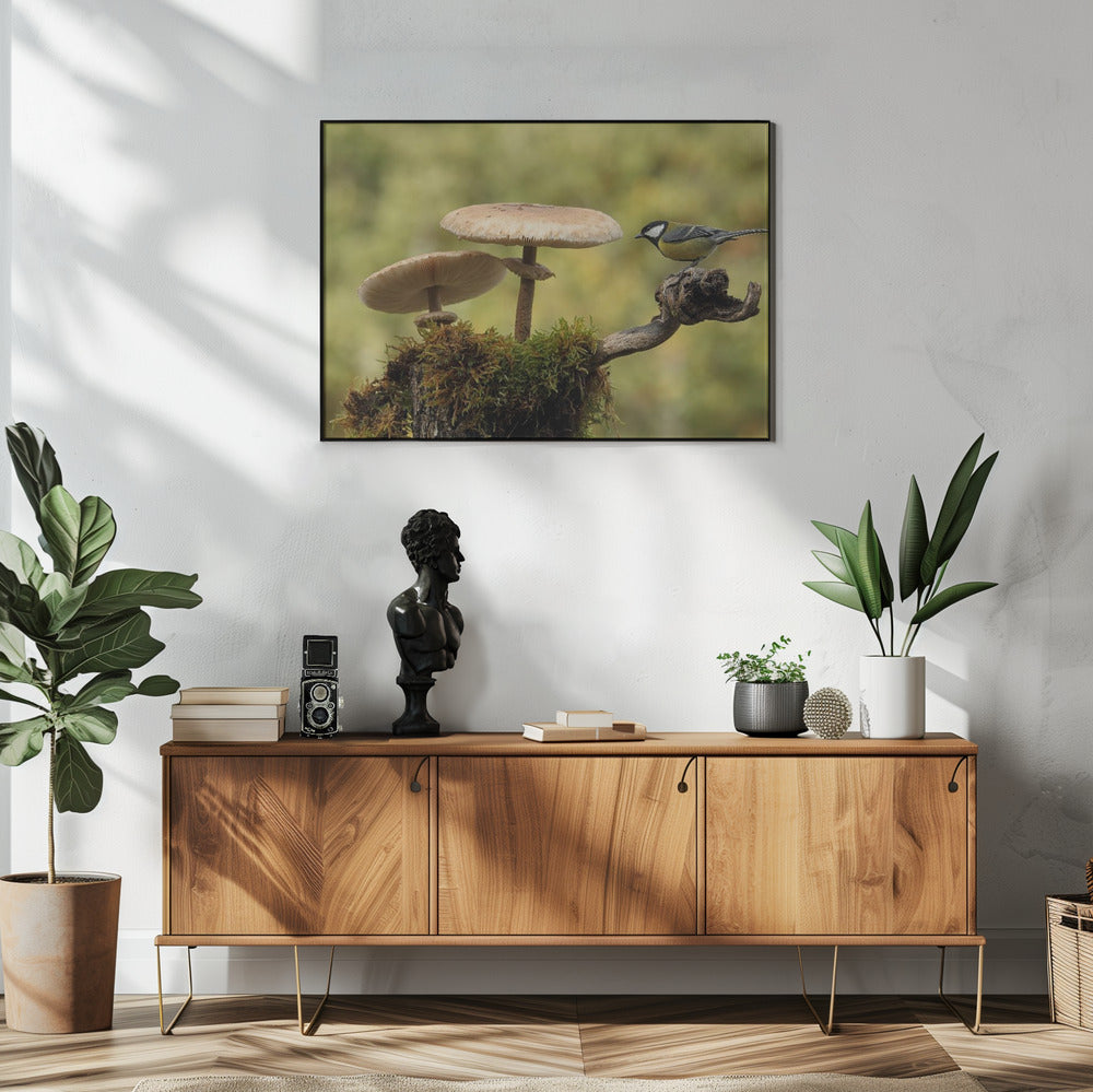 Mijn kleine stukje wereld | Poster