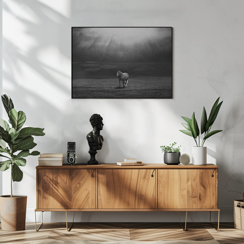 ochtendoptreden | Poster