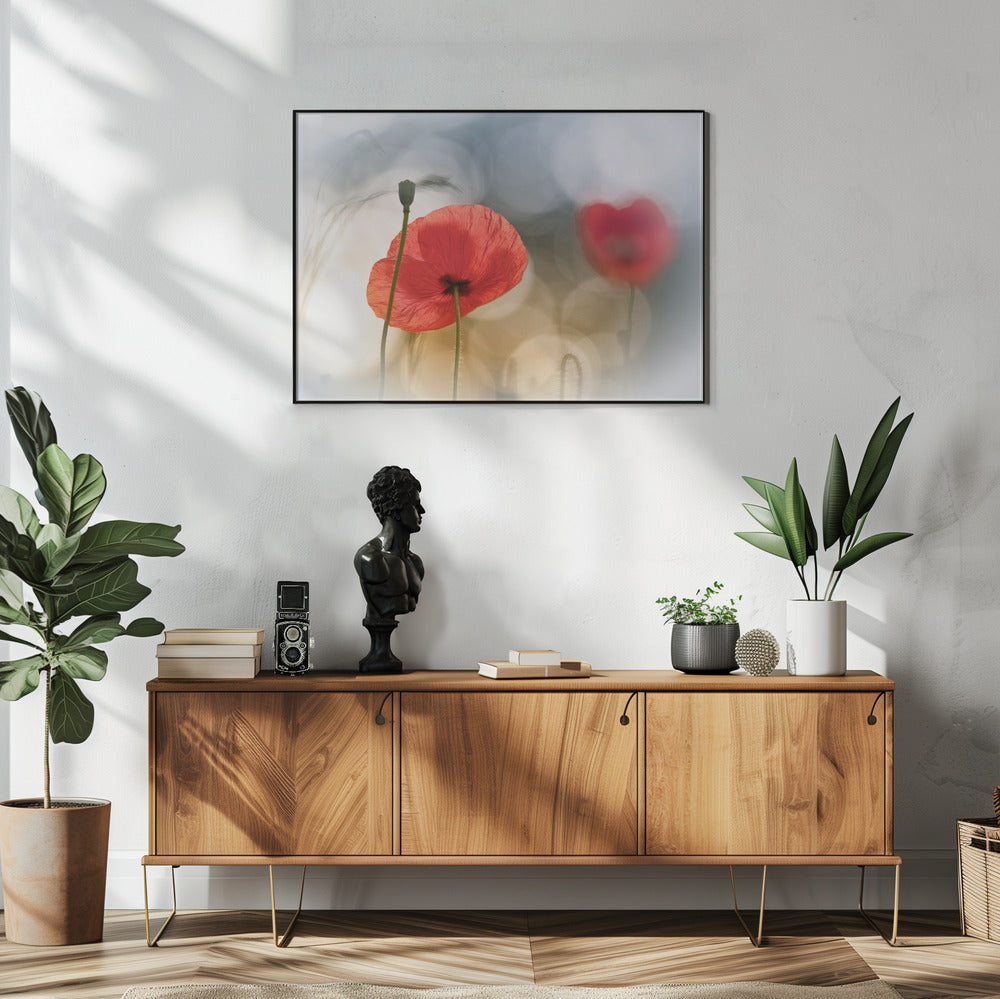 Ochtendklaprozen | Poster