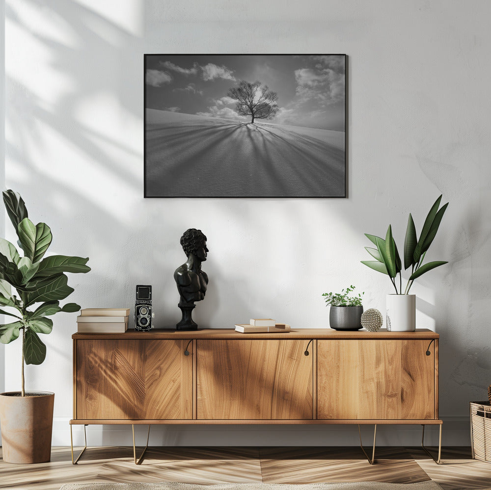 Boomschaduw | Poster