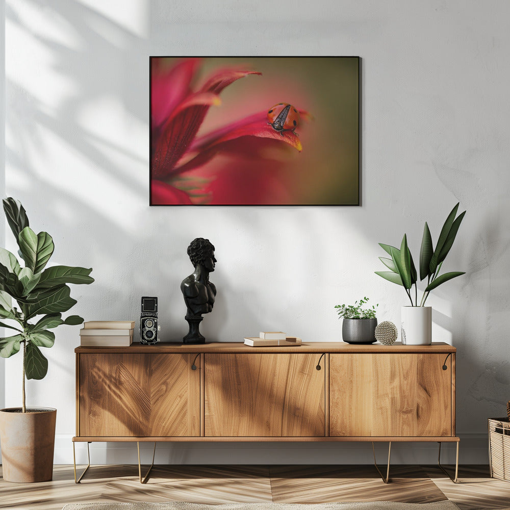 Simply red | Poster