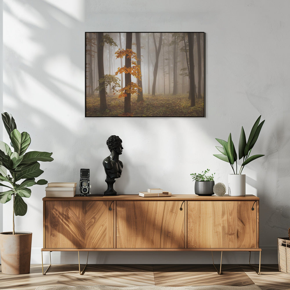 In novemberlicht | Poster