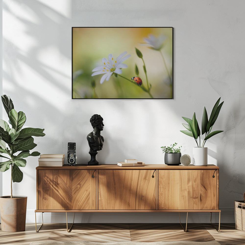 Zomerse schoonheden | Poster
