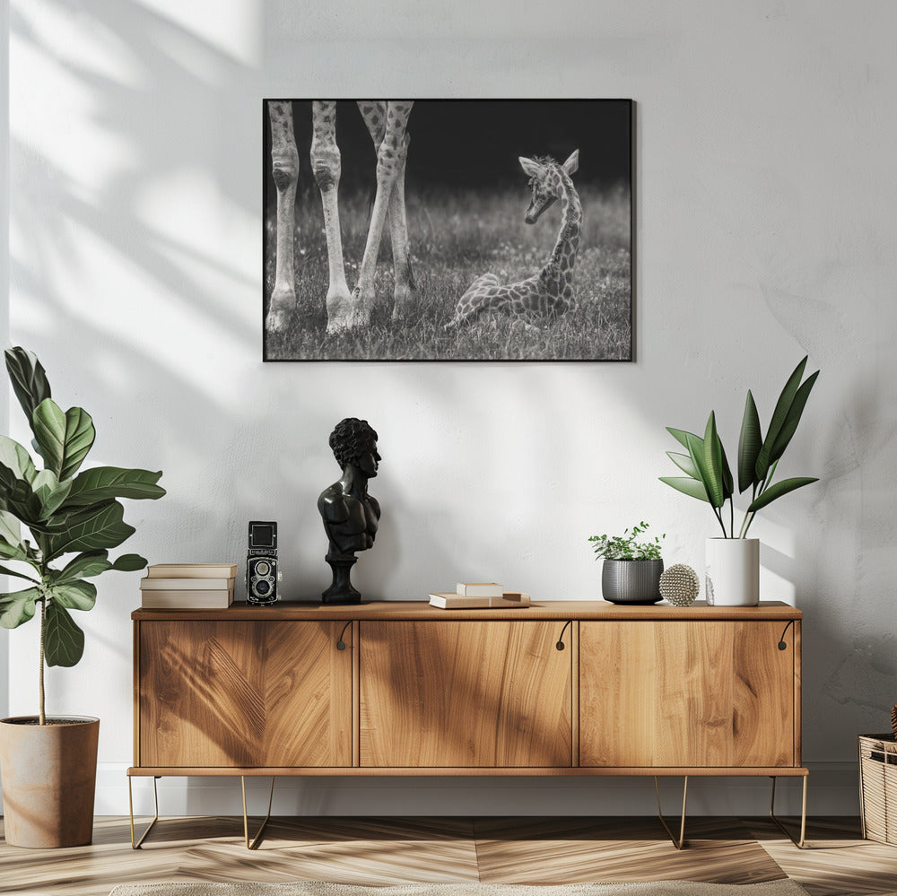 goed beschermd | Poster