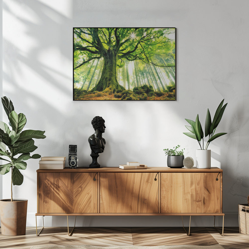 Ponthus' Beuk | Poster