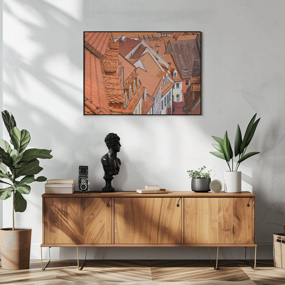 De kleur van deze daken... | Poster