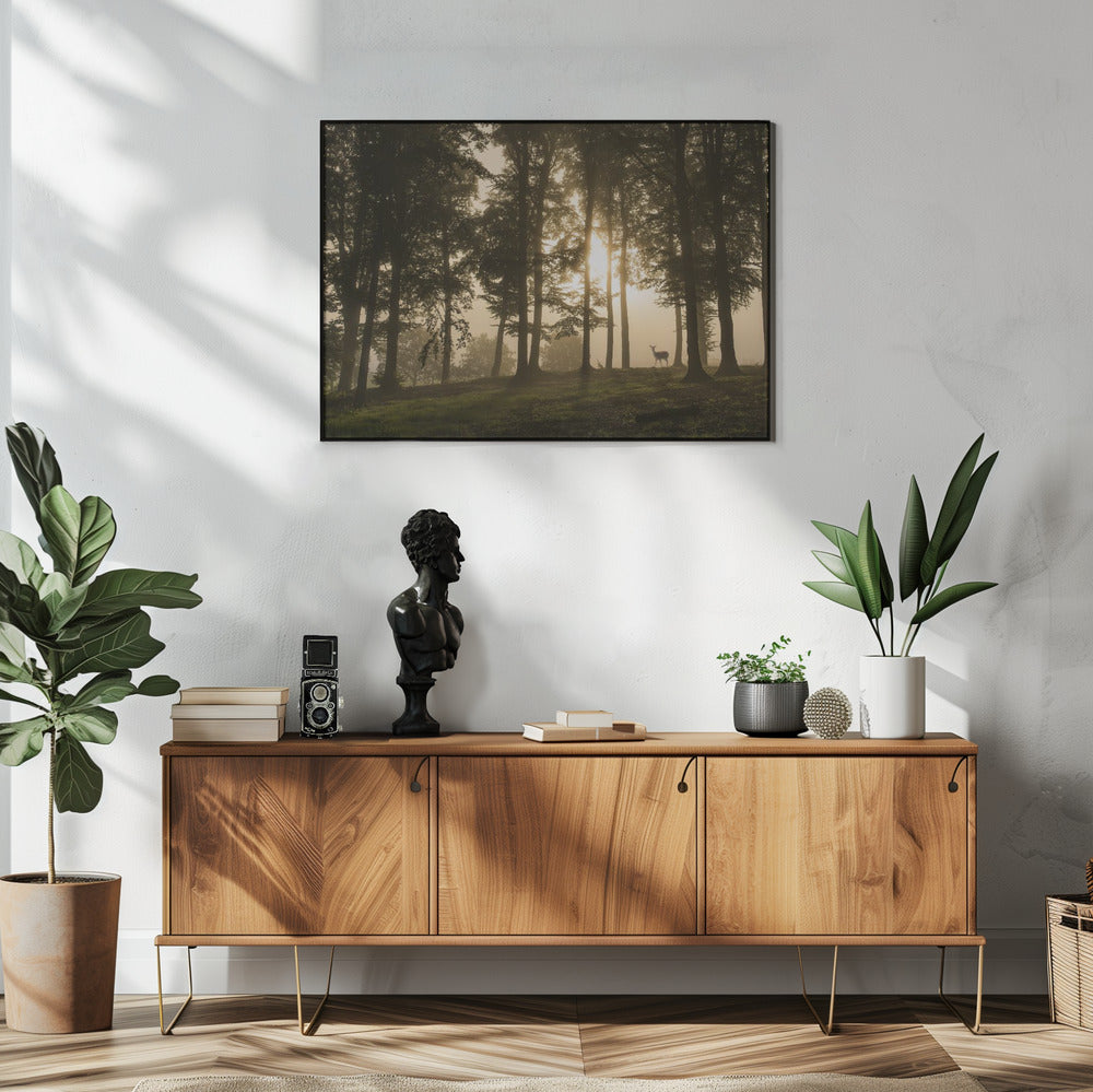 Hert in de ochtendmist. | Poster