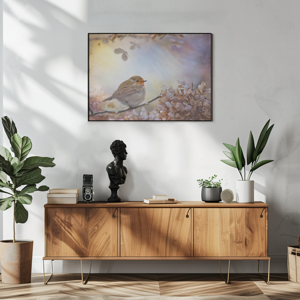 Robin over dromen | Poster