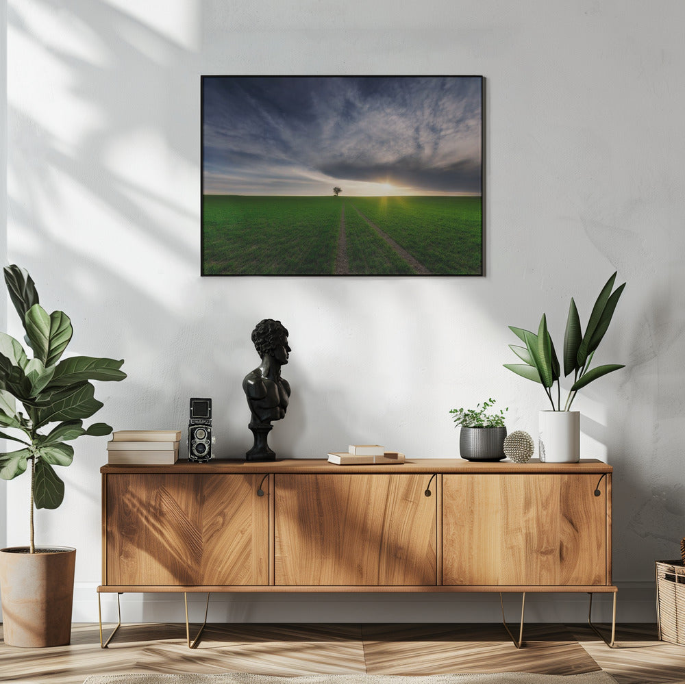 eenling in de zon | Poster