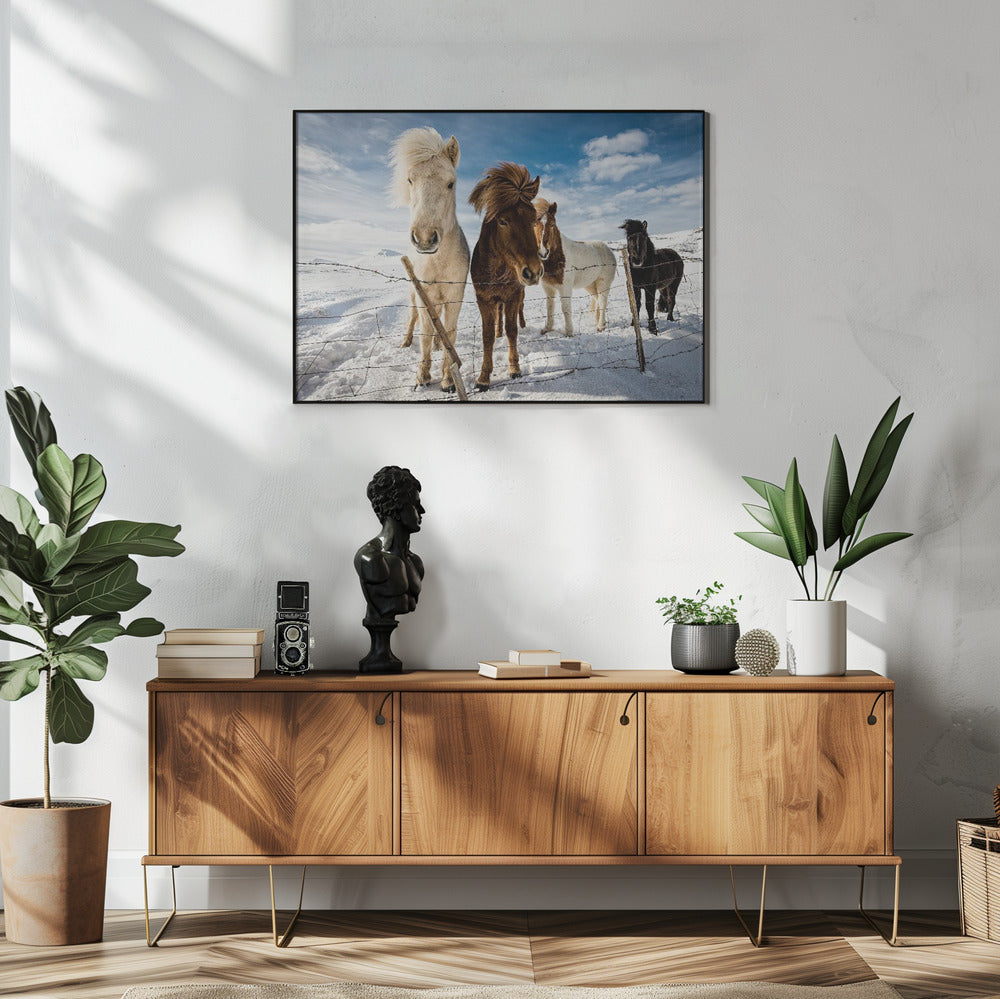IJslands kapsel | Poster