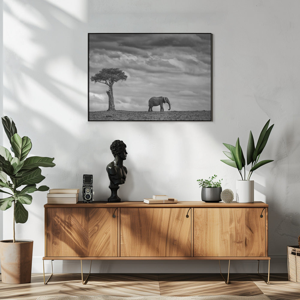 Olifantenlandschap | Poster