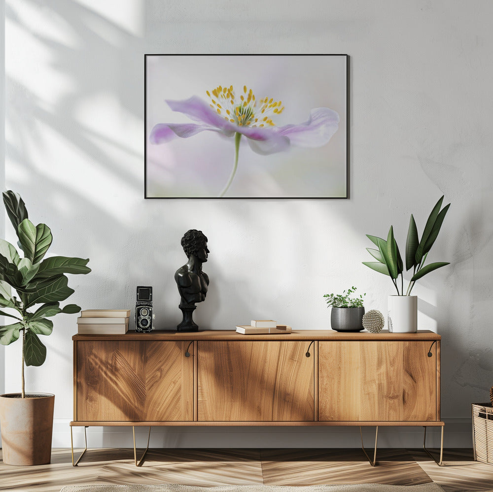 Bosanemoon | Poster