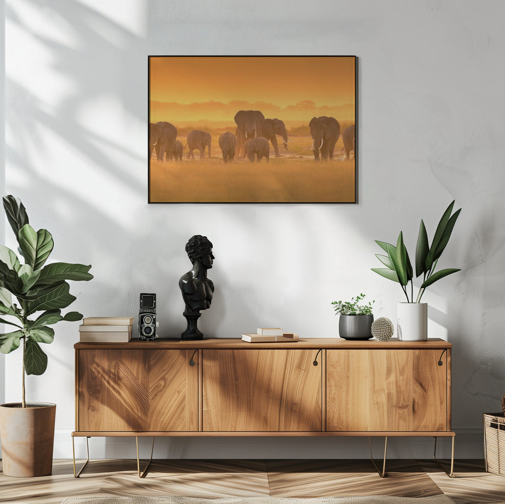 Golden Light | Poster