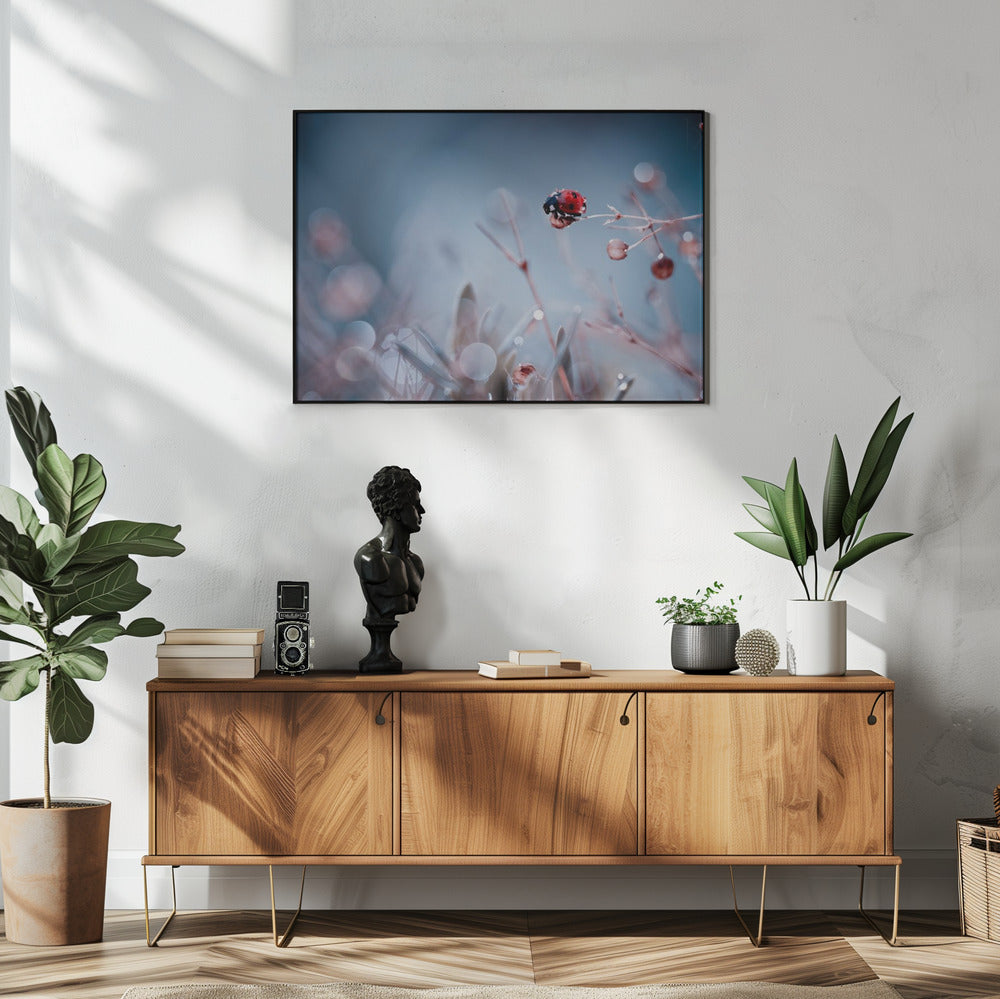 Hoogduiken | Poster