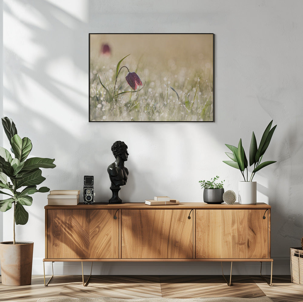 Ochtenddauw | Poster