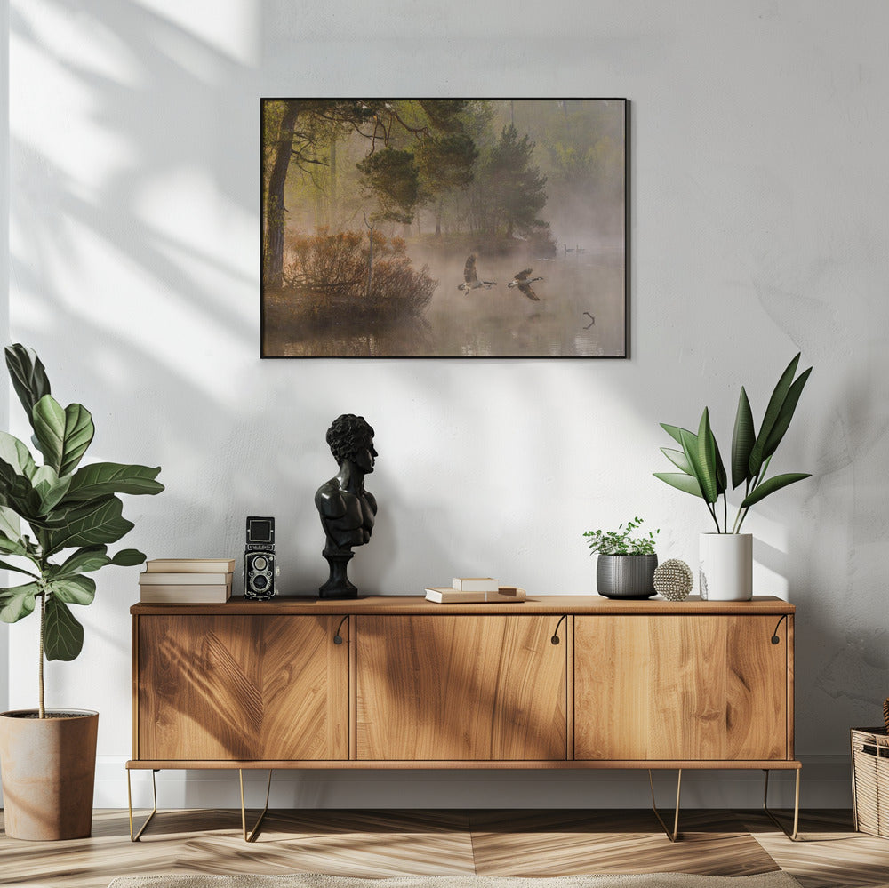 Ganzengevecht | Poster