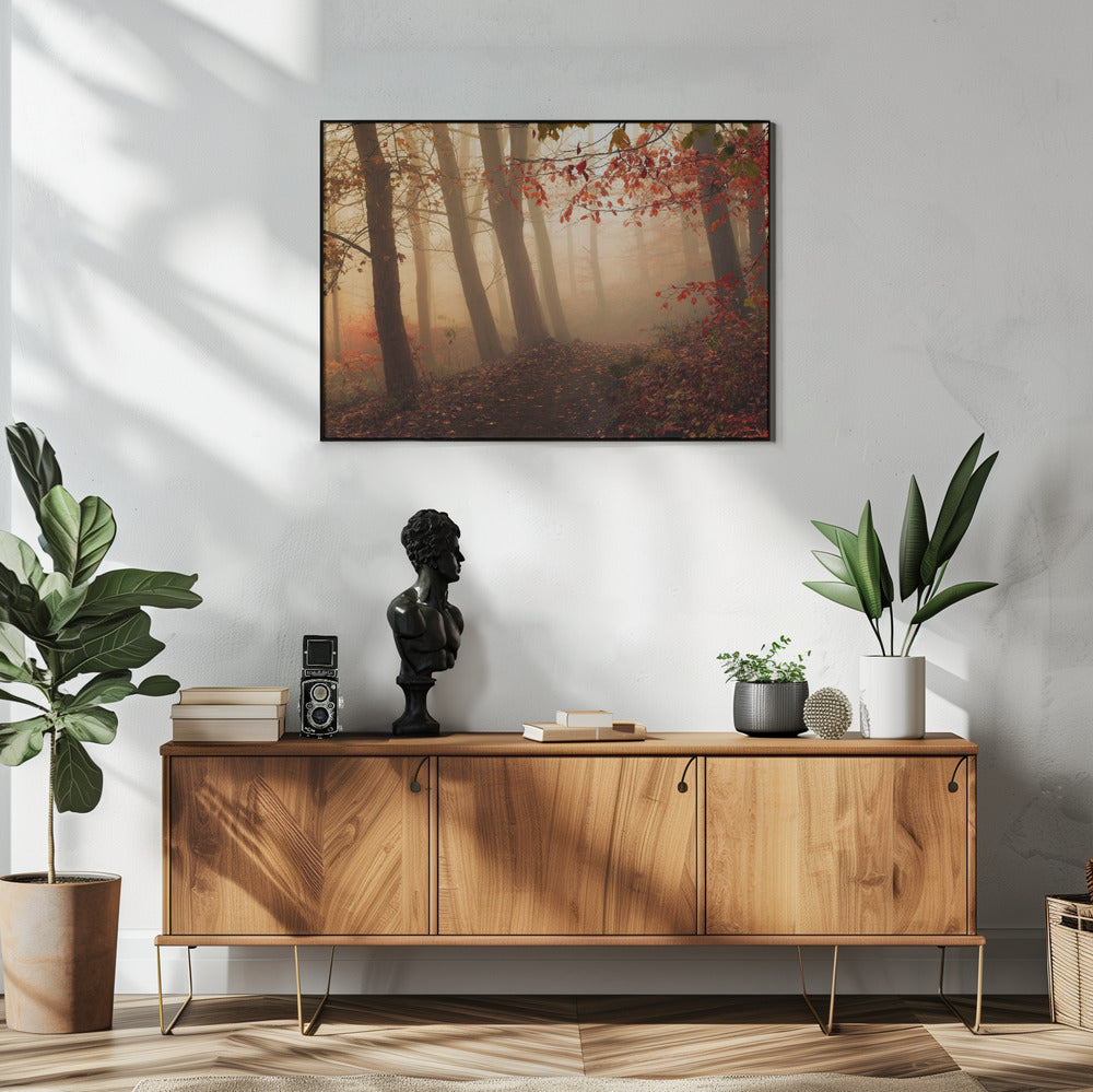 Op weg naar het licht. | Poster