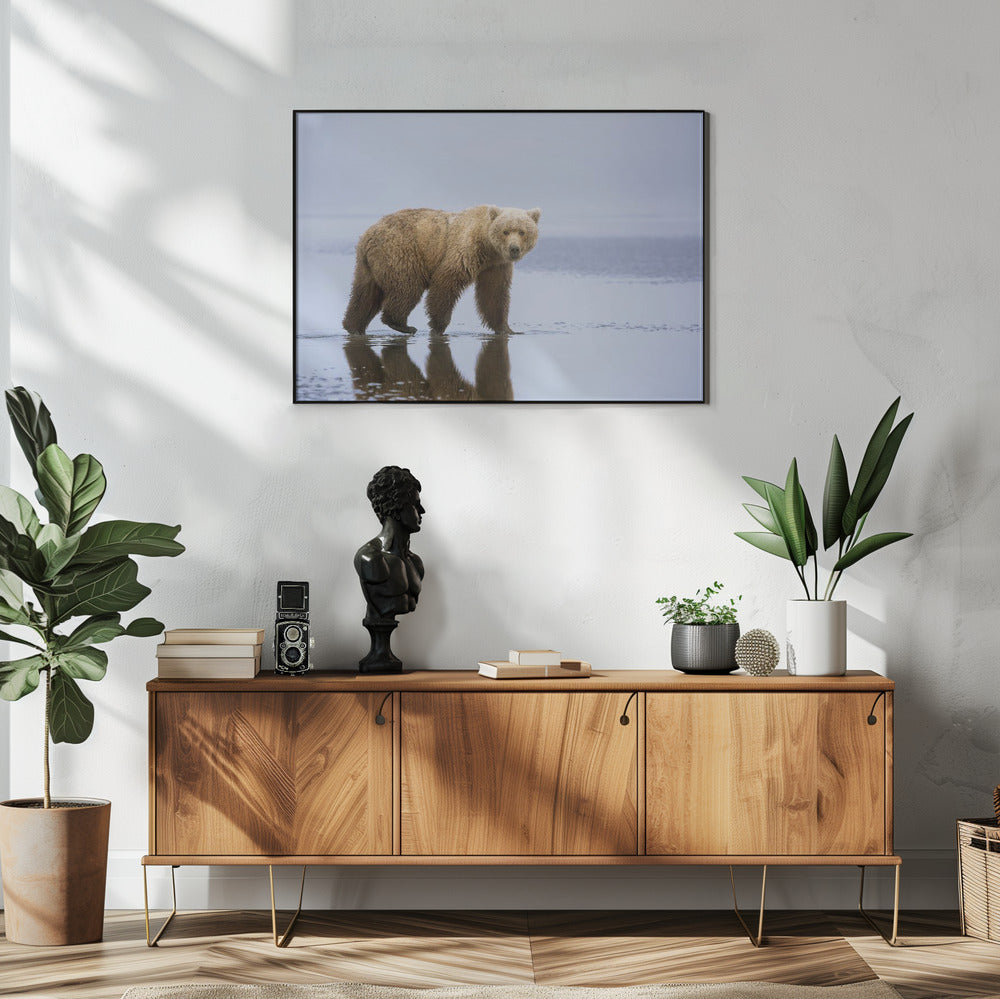 De Berenwandeling | Poster