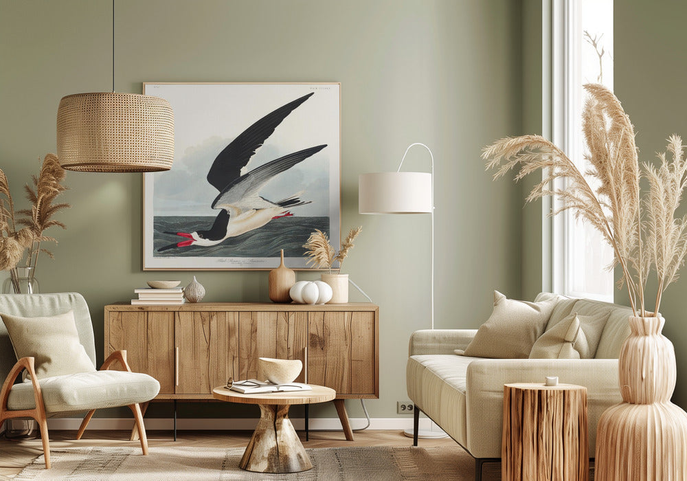 Zwarte schaarbek uit Birds of America (1827) | Canvas
