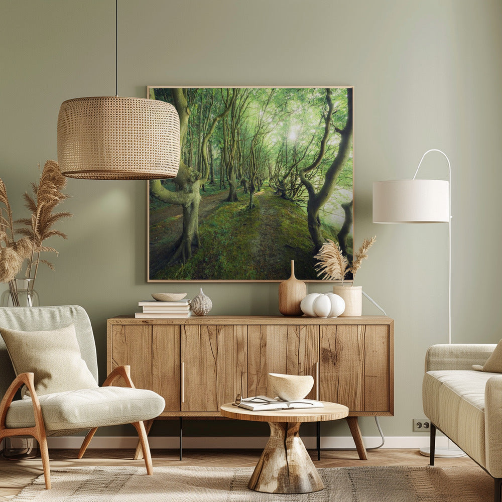 Gekke Laan | Canvas