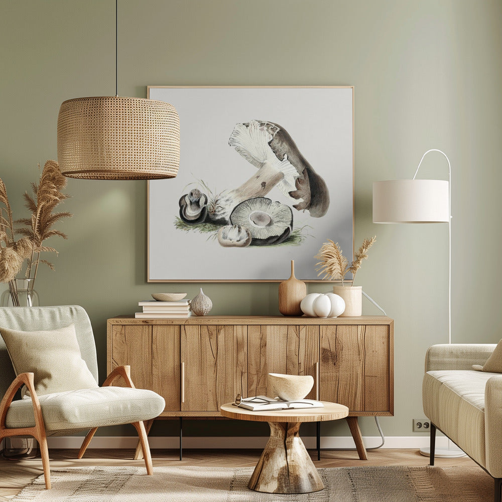 Vintage Agaricus Augustus-paddestoel | Canvas
