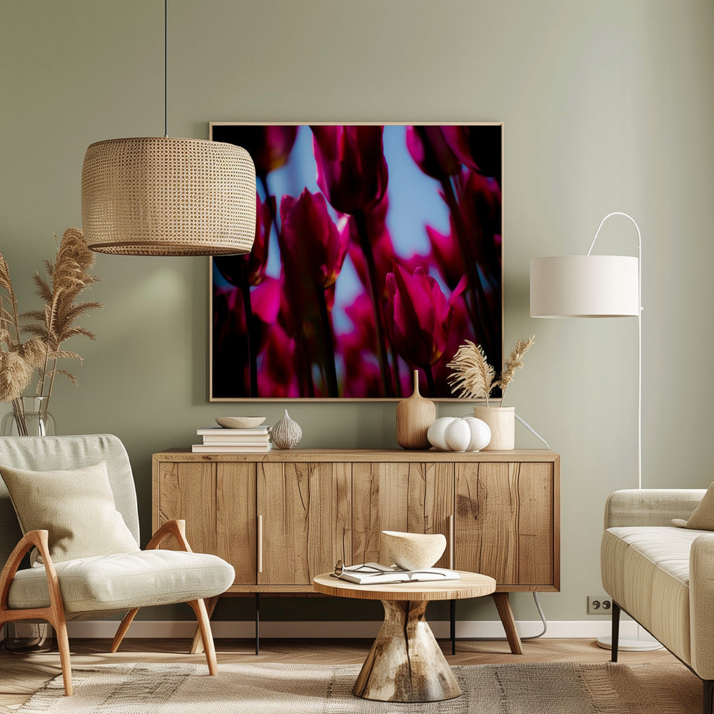 Paarse tulpen | Canvas