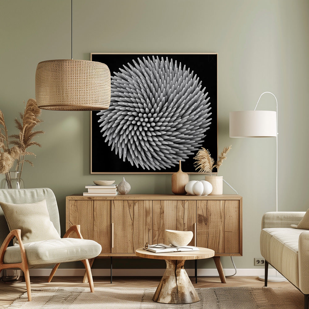 hypnose | Canvas