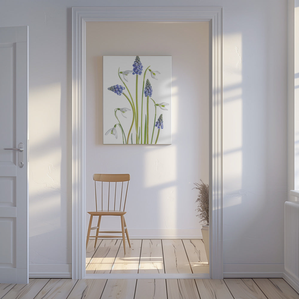Muscari en Galanthus | Canvas