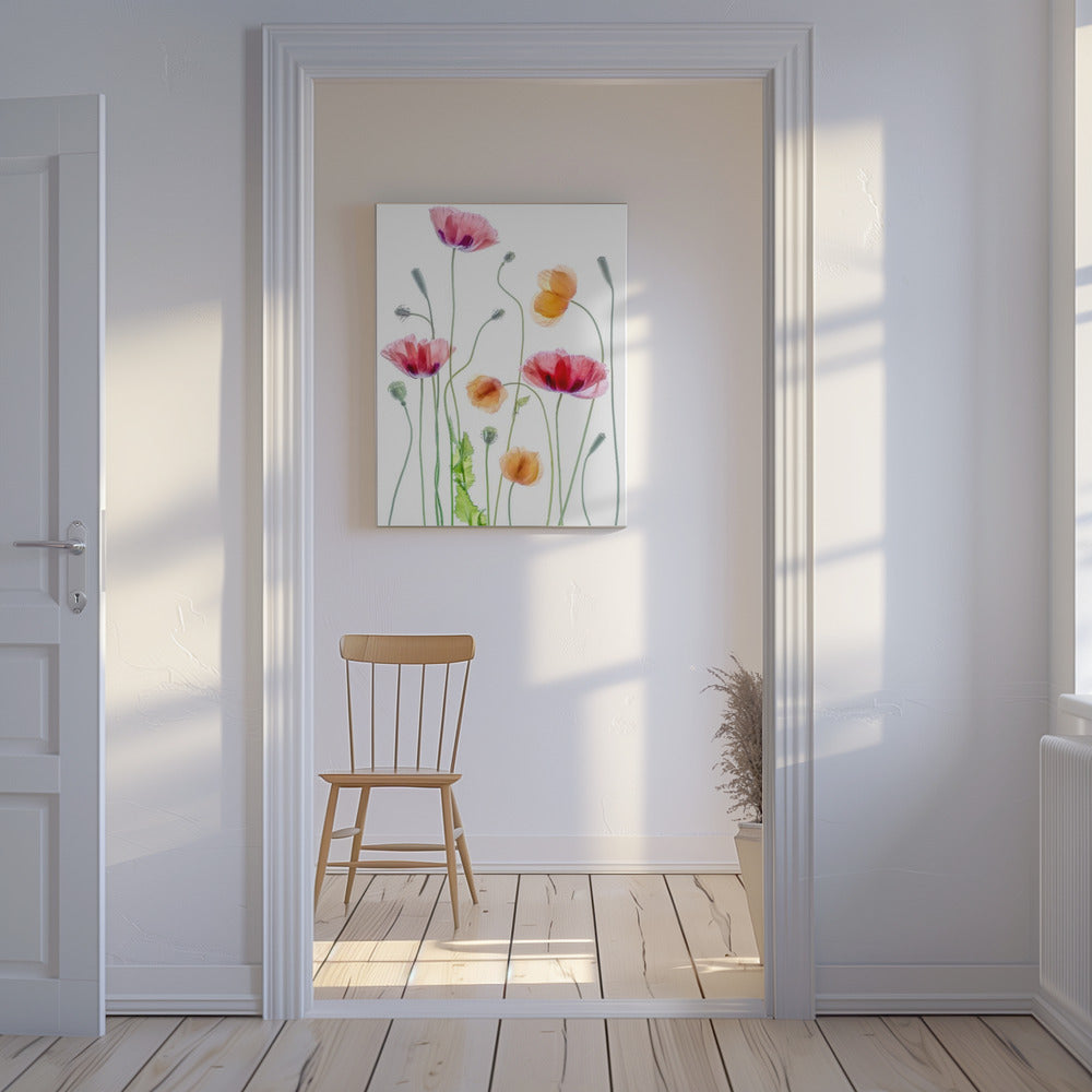 Klaprozen | Canvas