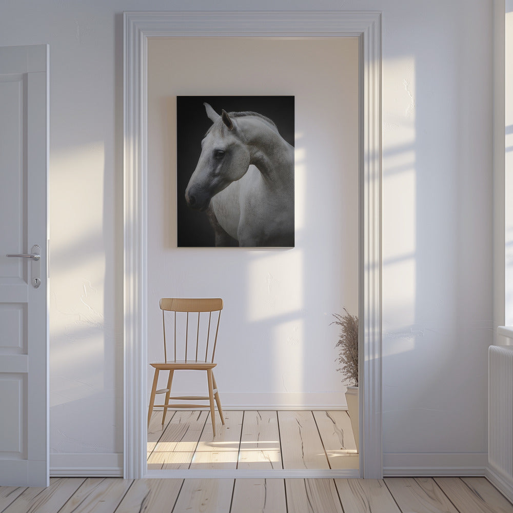 Maggie | Canvas