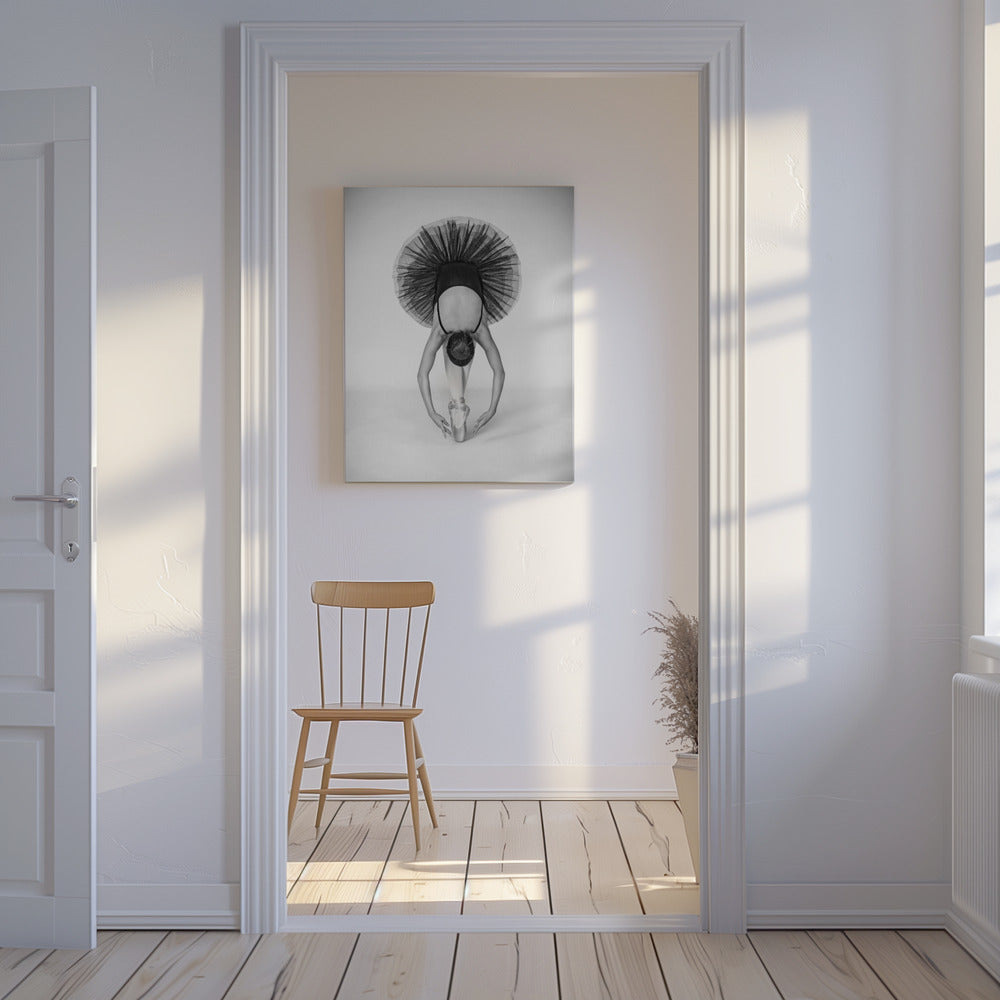 Ballettechniek | Canvas
